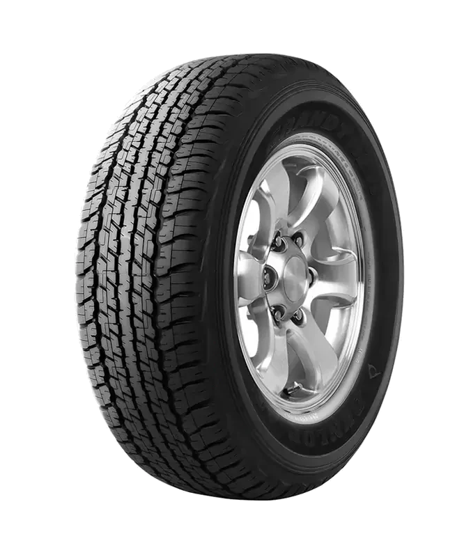 Dunlop Grandtrek AT22