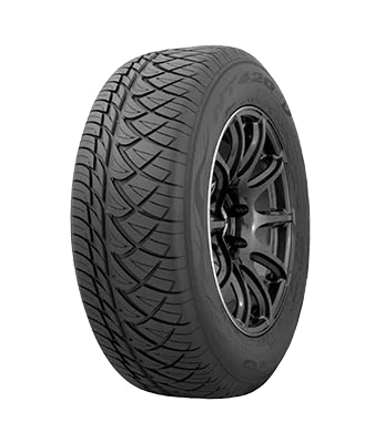 Nitto NT420SD